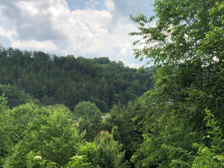 More Photos Of Ridgewood Dr, Blue Ridge Land For Sale