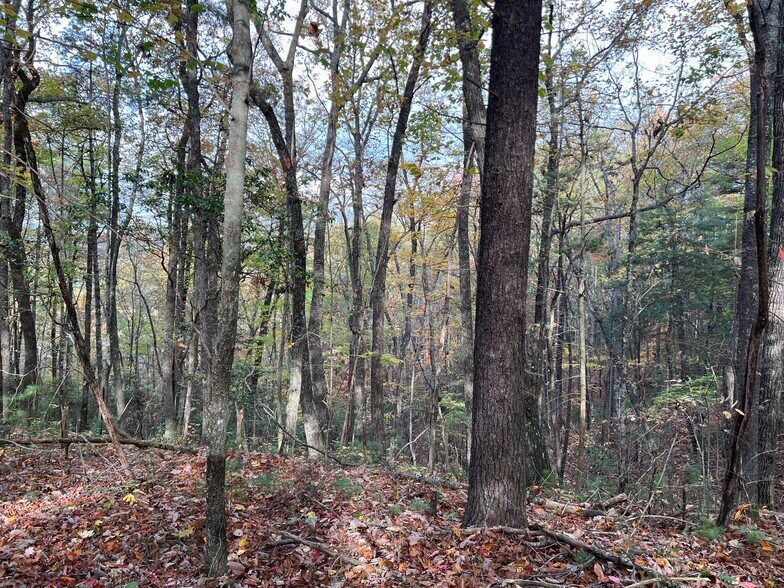 More Photos Of Whitecliff Drive, Ellijay Land For Sale