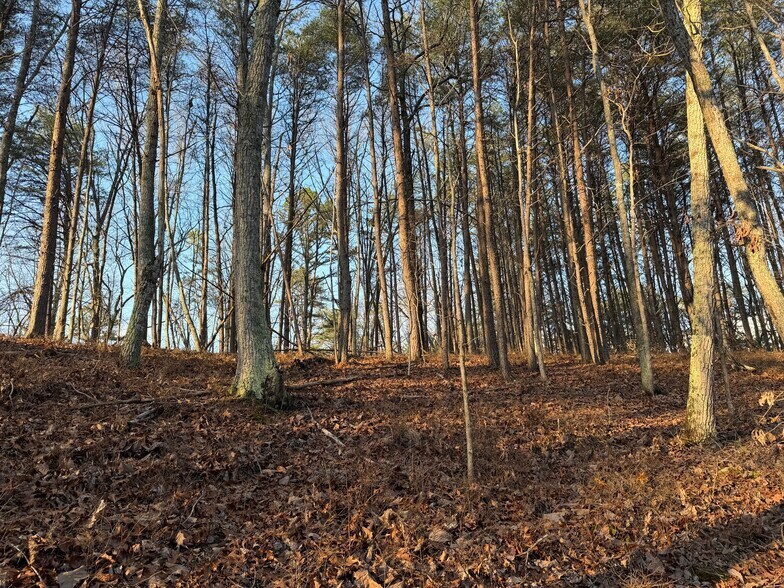 More Photos Of 260 Arnold Rd NE, Fairmount Land For Sale