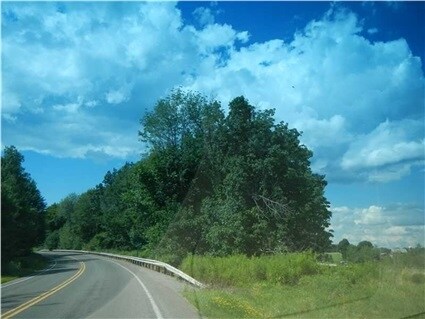 Primary Photo Of Hwy 258, Grove City Land For Sale
