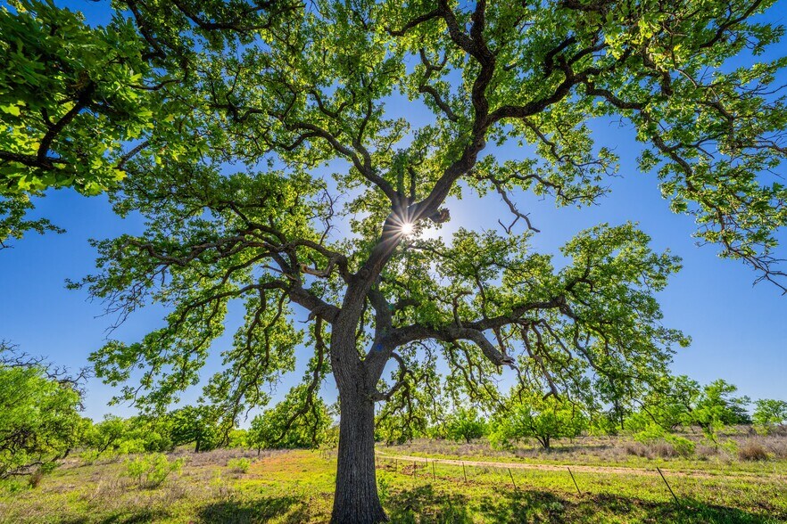More Photos Of 5230 County Road 409, Llano Land For Sale