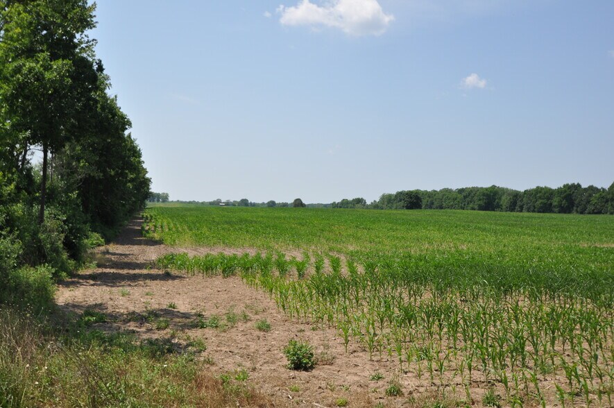 More Photos Of 3860 E River Rd, West Henrietta Land For Sale