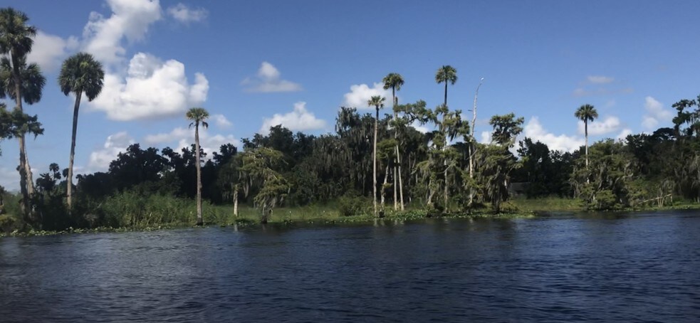 More Photos Of 2738 Botts Landing Rd, Deland Land For Sale