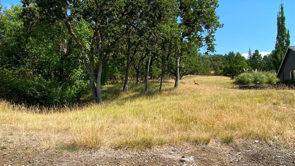 More Photos Of 1219 Junker, Roseburg Land For Sale