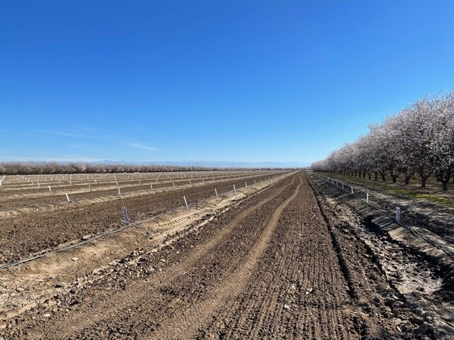 More Photos Of 10277 Road 28 1/2, Madera Land For Sale