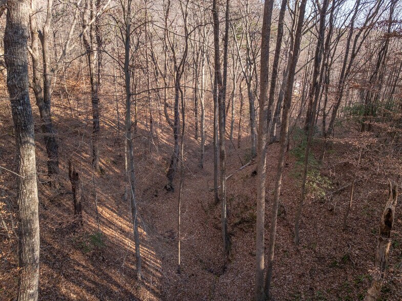 More Photos Of 00 Pittman Rd, Landrum Land For Sale