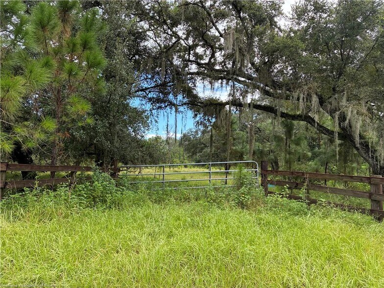 More Photos Of Detjens Dairy Road, Venus Land For Sale