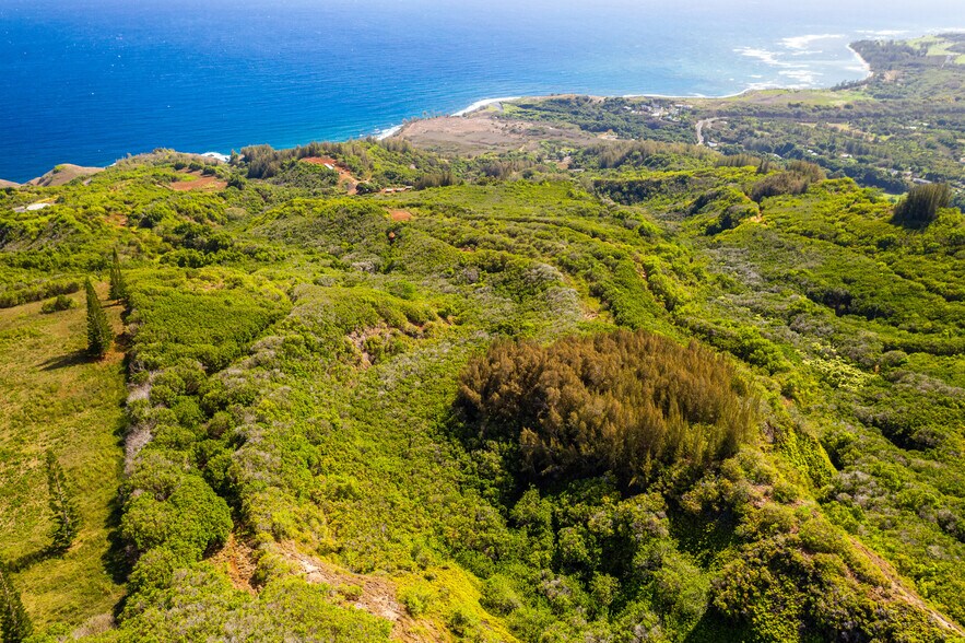 More Photos Of 0 Kahekili Hwy, Wailuku Land For Sale