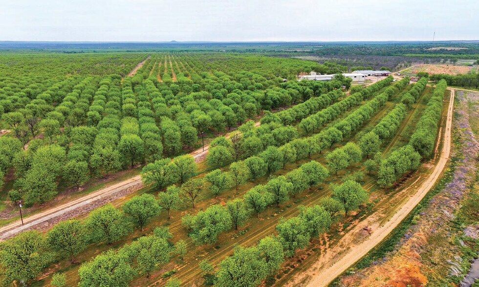 More Photos Of 450 County Road 417, Goldthwaite Land For Sale