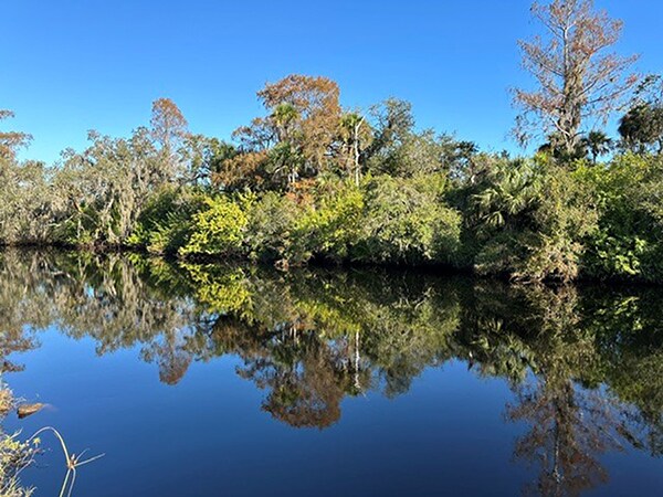 More Photos Of 15871 N River Rd, Alva Land For Sale