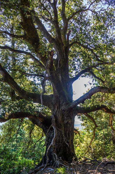 More Photos Of 16401 South Highway 1, Manchester Land For Sale