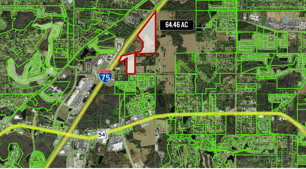 More Photos Of 28651 Tupper Rd, Wesley Chapel Land For Sale