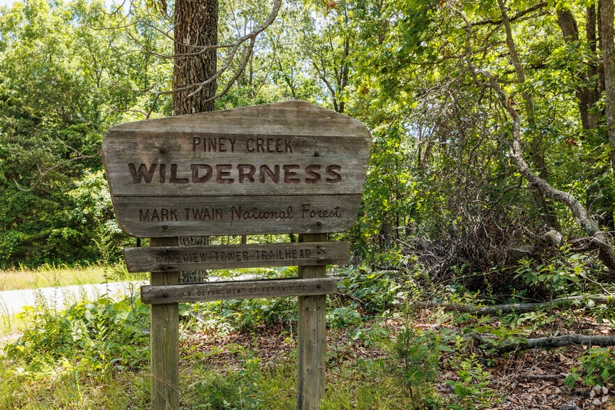 More Photos Of Carnation Ln @ Hwy 76, Cape Fair Land For Sale