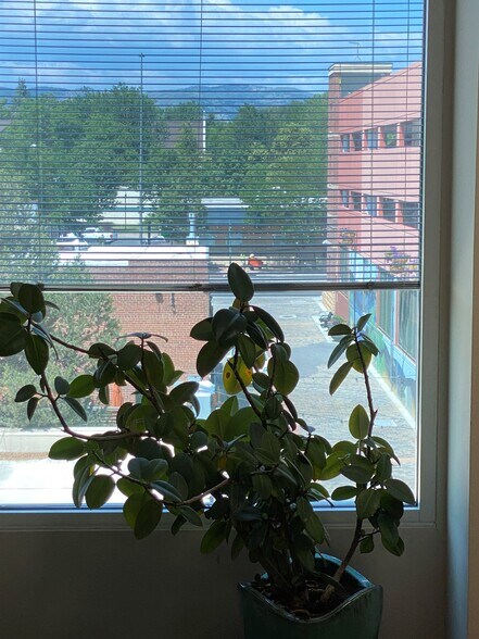 More Photos Of 123-147 N College Ave, Fort Collins Office For Sale