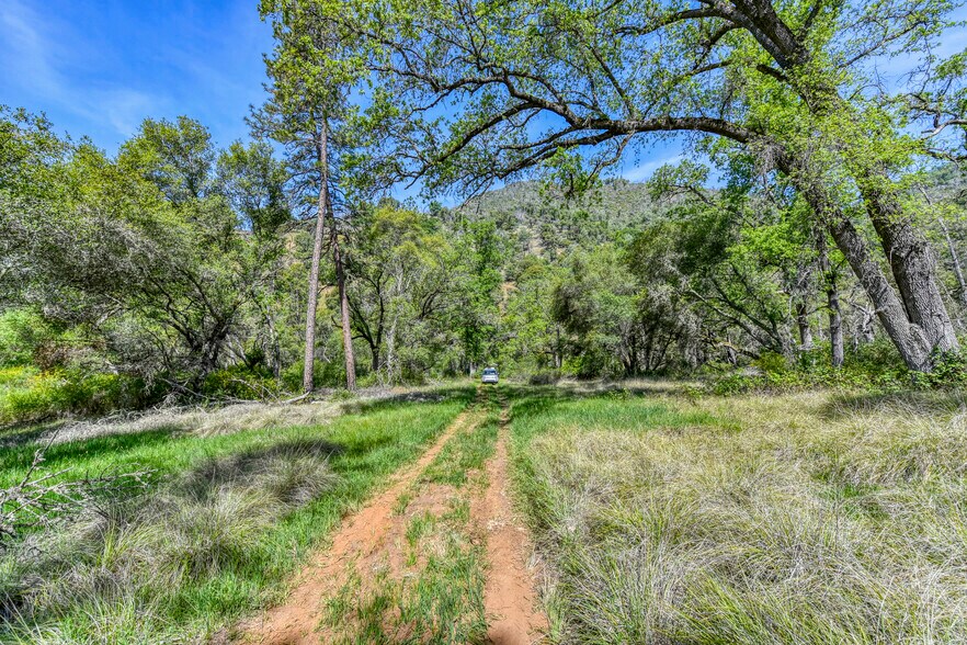 More Photos Of 0000 Upton Rd, Somerset Land For Sale