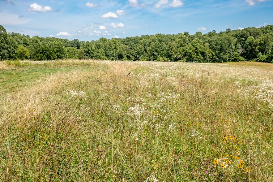 More Photos Of 11697 Spotswood Trl, Stanardsville Land For Sale