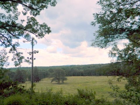 More Photos Of 1744 Route 611, Mount Pocono Land For Sale