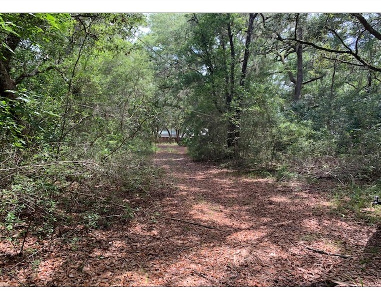 More Photos Of Hwy 331, Freeport Land For Sale