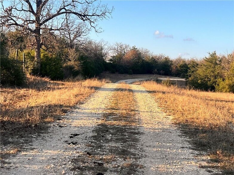 More Photos Of Fm-1469, Marquez Land For Sale