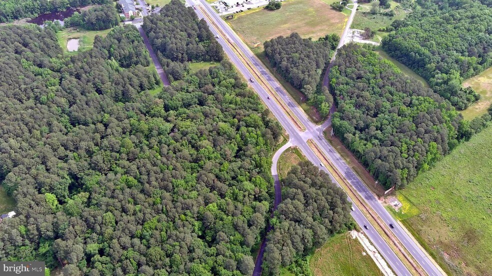 More Photos Of N. Ocean Hwy., Delmar Land For Sale