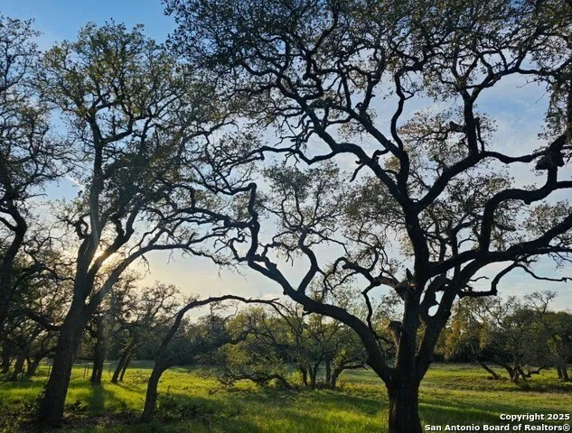 More Photos Of 874 Maximino Ridge Rd, Bulverde Land For Sale