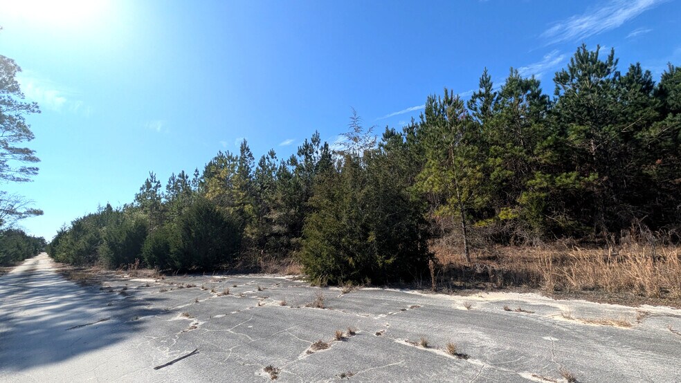 More Photos Of 13550 NW Old Fannin Rd, Chiefland Land For Sale