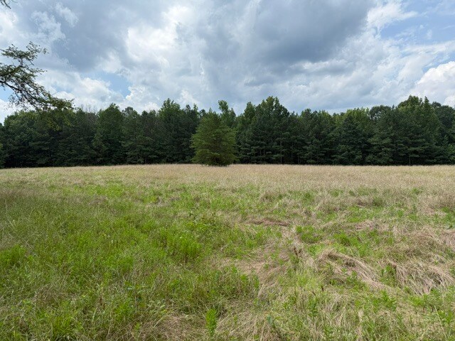 More Photos Of 3805 County Road 97, Gaylesville Land For Sale