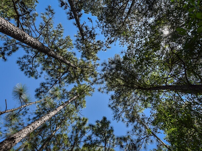 More Photos Of 224 Foxfire Rd, Aberdeen Land For Sale