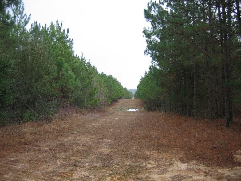 More Photos Of 7471 Hwy 155, Saline Land For Sale
