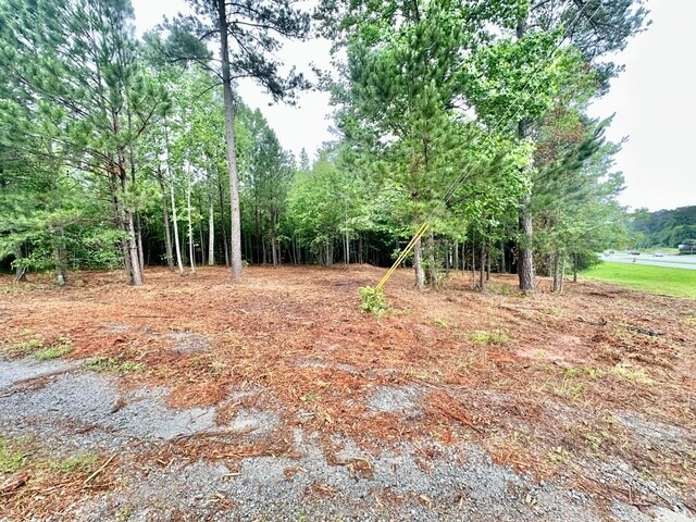 More Photos Of GA-34 Hwy @ Holz, Newnan Land For Sale