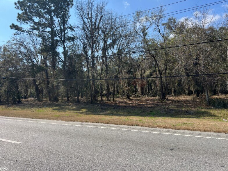 More Photos Of 3855 Darien Hwy, Brunswick Land For Sale