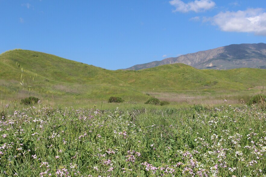 Primary Photo Of 0 Dickenson Rd, Santa Paula Land For Sale