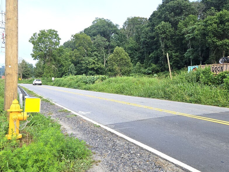 More Photos Of 0 Swannanoa River Rd, Asheville Land For Sale