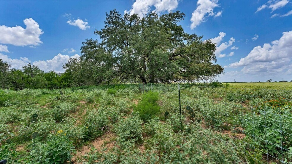More Photos Of 209 FM 1344, Floresville Land For Sale
