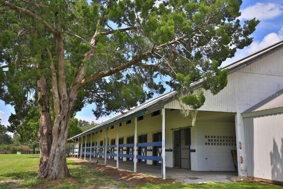 More Photos Of 12219 SW 26th St, Ocala Land For Sale