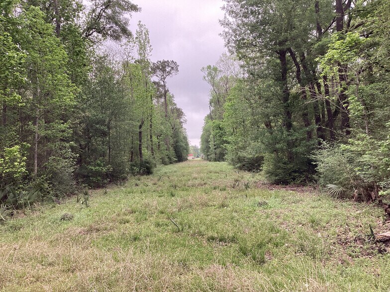 More Photos Of 0 County Road 4876, Dayton Land For Sale
