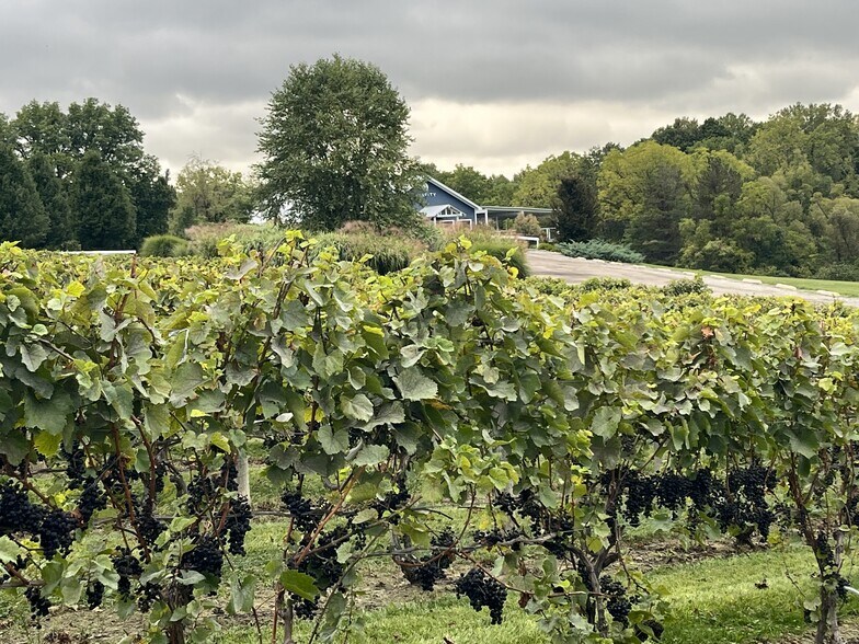 More Photos Of 10220 Lauer Rd, Baroda Winery Vineyard For Sale