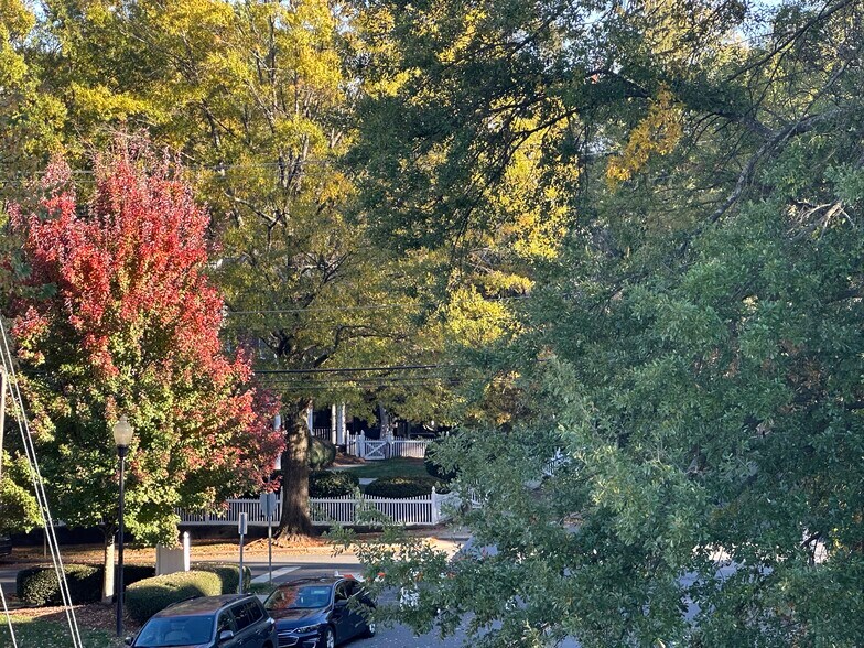 More Photos Of 216 E Park Ave, Charlotte Land For Sale