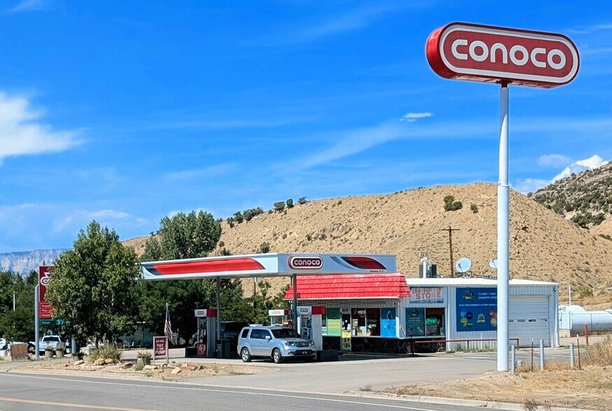 Primary Photo Of , Dinosaur General Retail For Sale