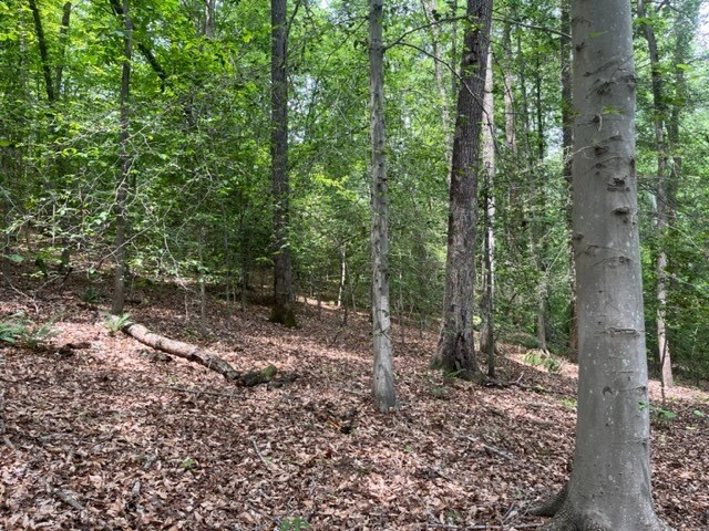 More Photos Of 7585 Mason Springs Rd, La Plata Land For Sale