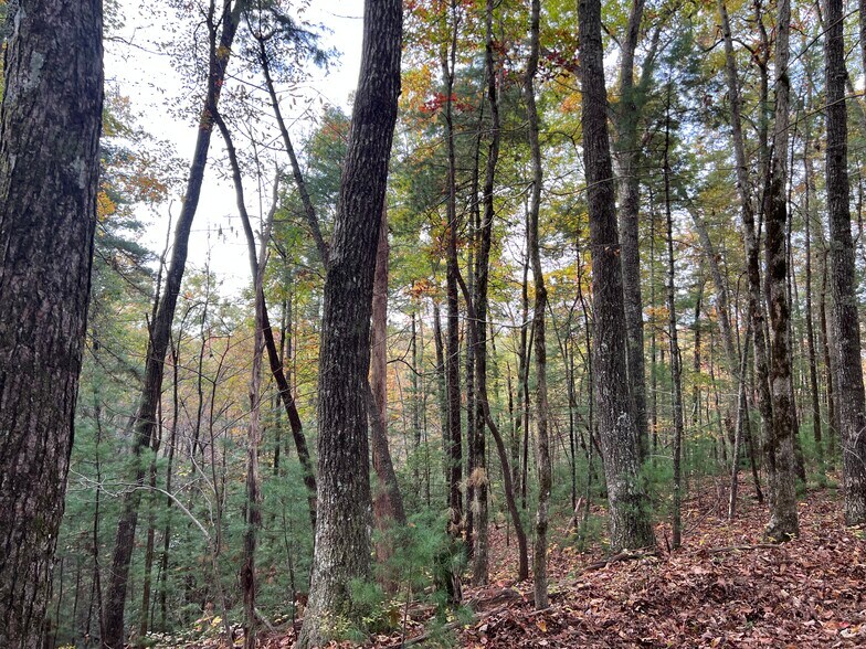 More Photos Of Whitecliff Drive, Ellijay Land For Sale