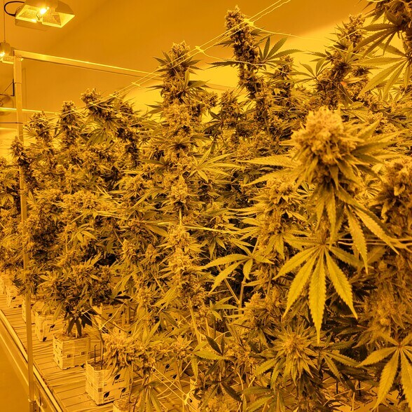 More Photos Of 515 Hammontree Dr, Morenci Industrial For Sale