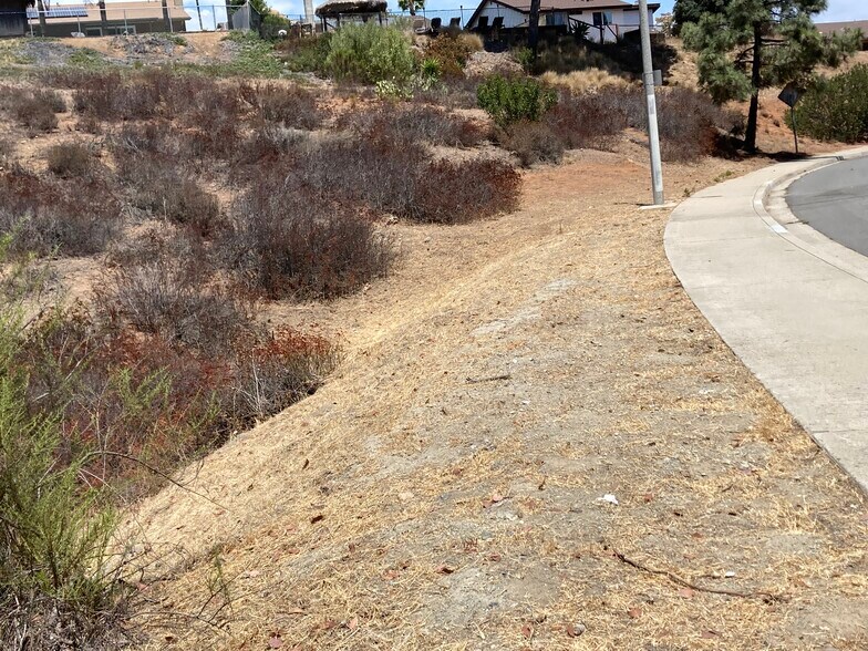 More Photos Of 0 Calle Los Arboles, Spring Valley Land For Sale