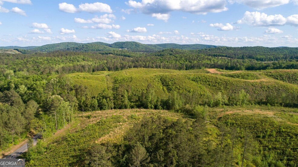 More Photos Of 0 Old Blacks Bluff Rd, Rome Land For Sale