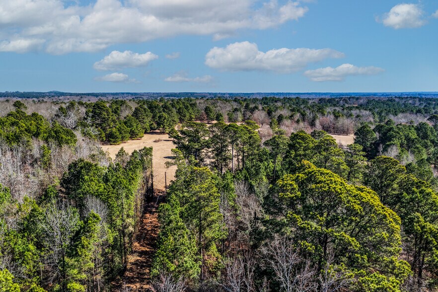 Primary Photo Of 1609 County Road 246 S rd, Tyler Land For Sale