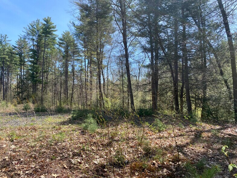Primary Photo Of 100 Pequot Rd, Southampton Land For Sale