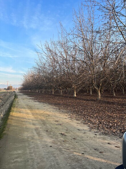 More Photos Of Avenue 248 @ Bliss Lane, Tulare Land For Sale