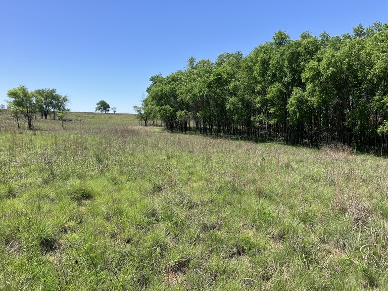 Primary Photo Of Barker Ranch South, Wheeler Land For Sale