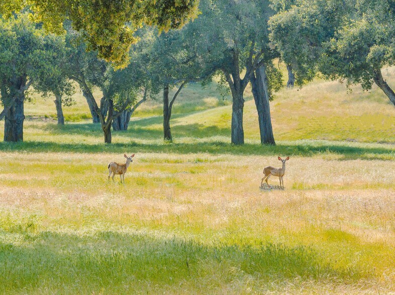 More Photos Of 770 Limekiln Rd, Hollister Land For Sale