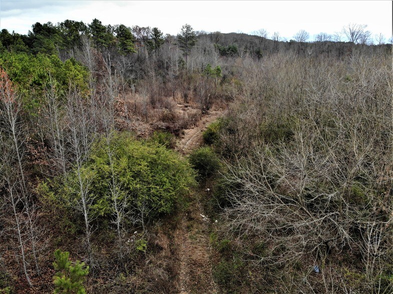 More Photos Of Belwood and Morrow Rd, Calhoun Land For Sale